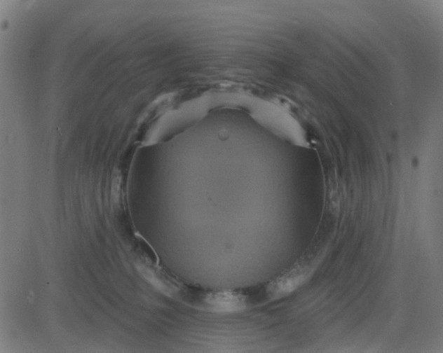 X0000084600231200703091937