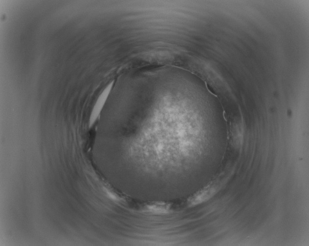 X0000084600232200703091937