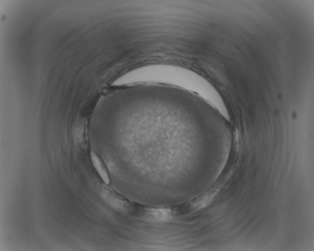 X0000084600233200703091937