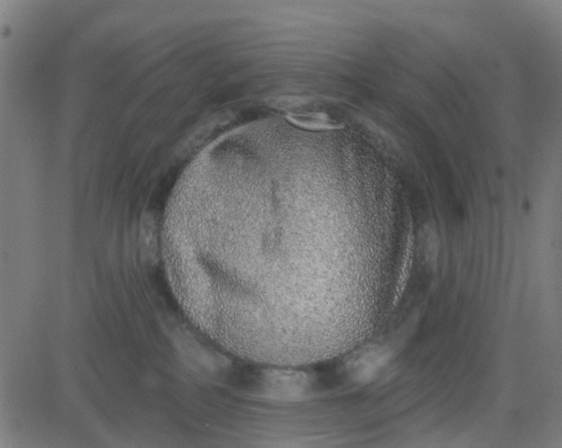 X0000084600234200703091937