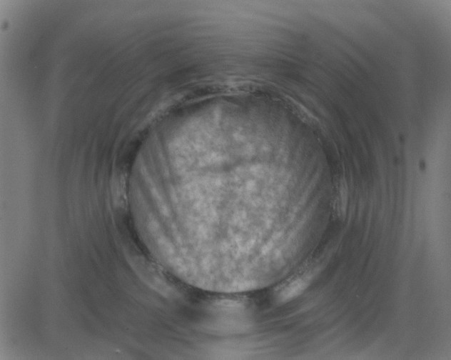 X0000084600236200703091937