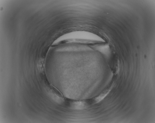 X0000084600237200703091937