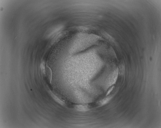 X0000084600238200703091937