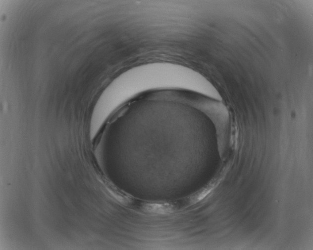 X0000084600239200703091937