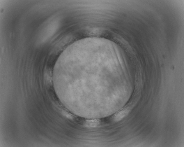 X0000084600240200703091937