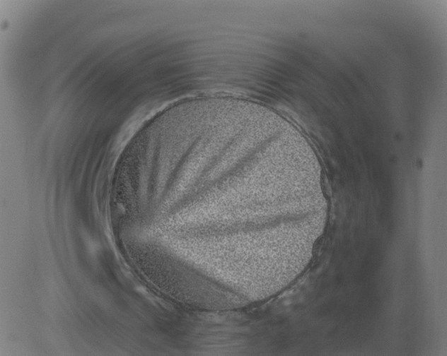 X0000084600241200703091936