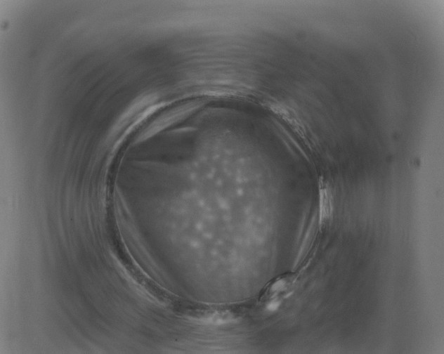 X0000084600243200703091936