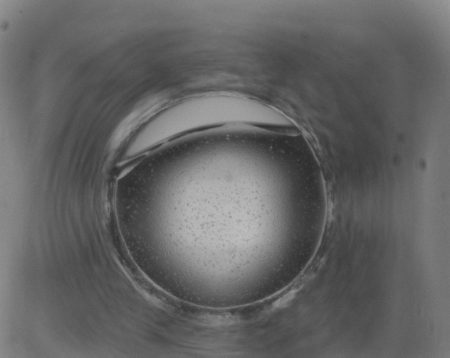 X0000084600245200703091936