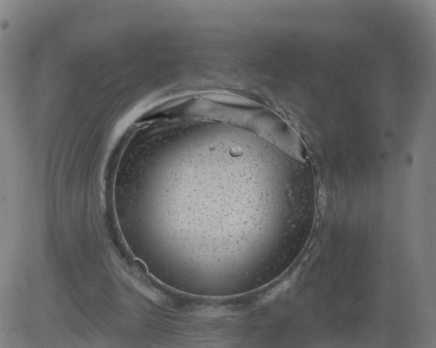 X0000084600246200703091936