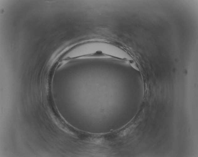 X0000084600247200703091936