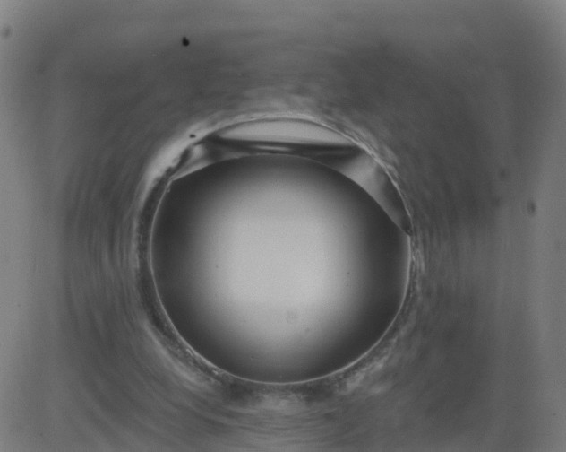 X0000084600248200703091936