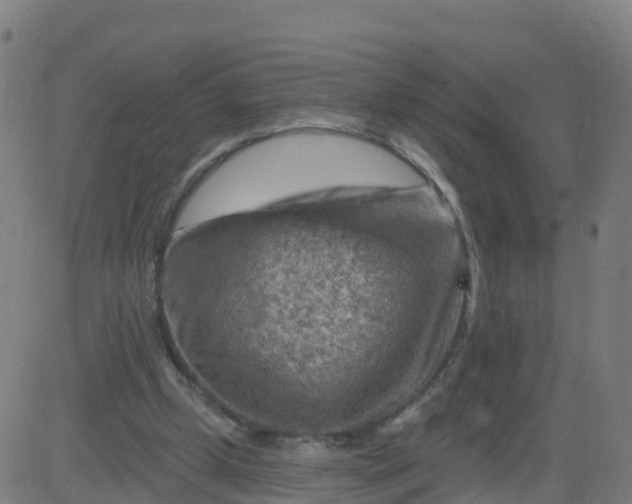 X0000084600249200703091936