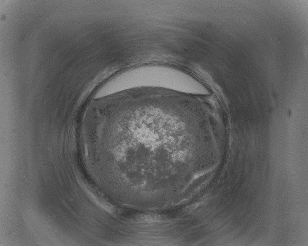 X0000084600250200703091936