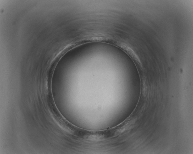 X0000084600251200703091936