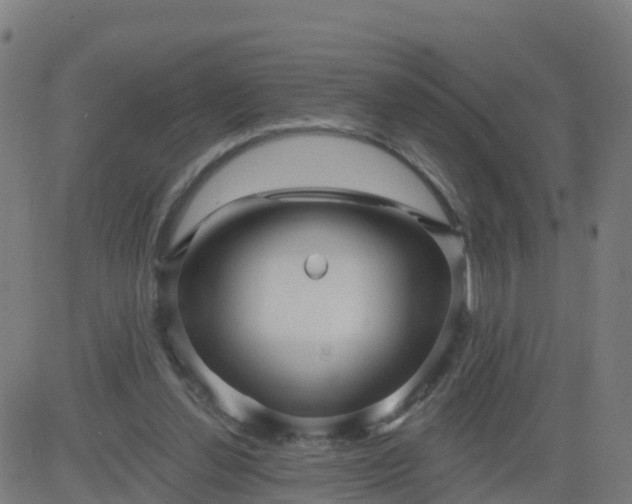 X0000084600252200703091936