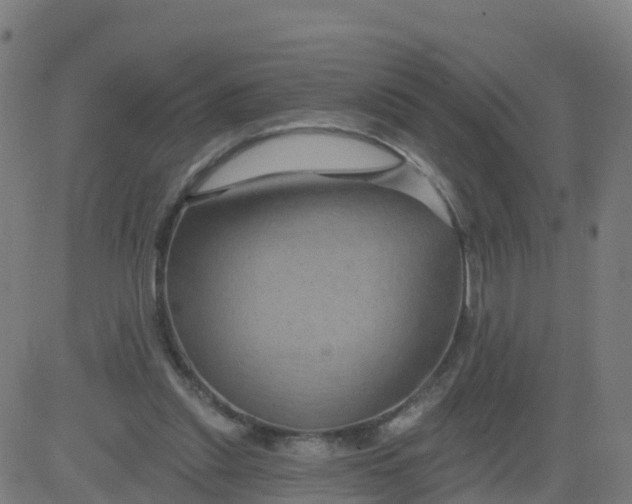 X0000084600253200703091936