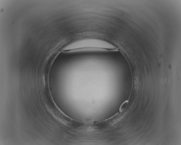 X0000084600254200703091936