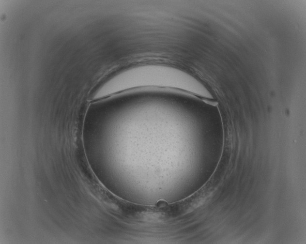 X0000084600255200703091936