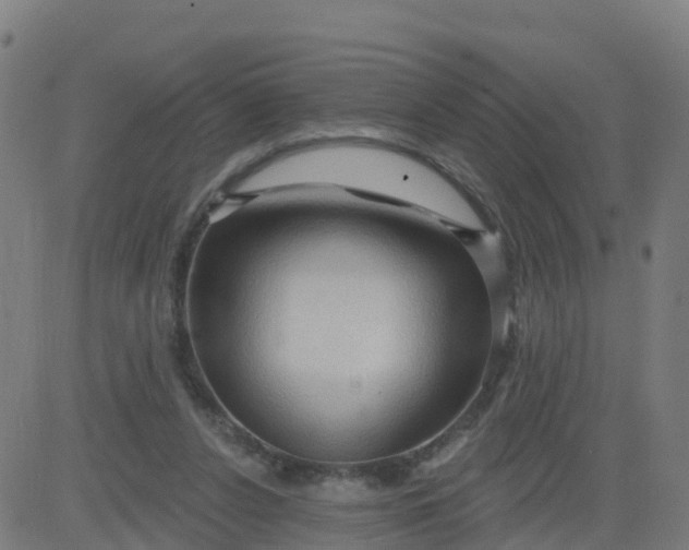 X0000084600256200703091936