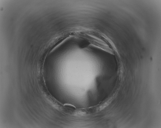 X0000084600257200703091936