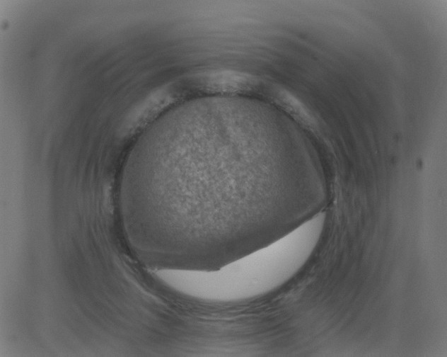 X0000084600258200703091936