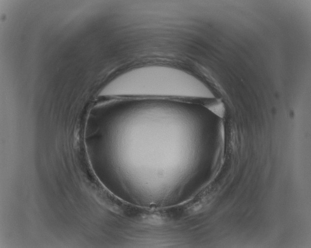 X0000084600259200703091936