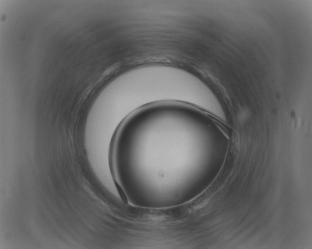 X0000084600260200703091936