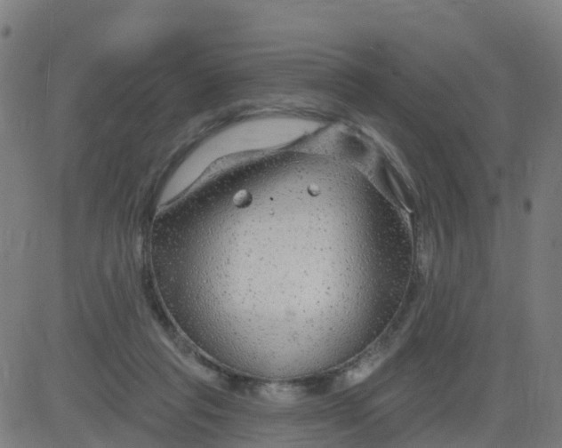 X0000084600261200703091936