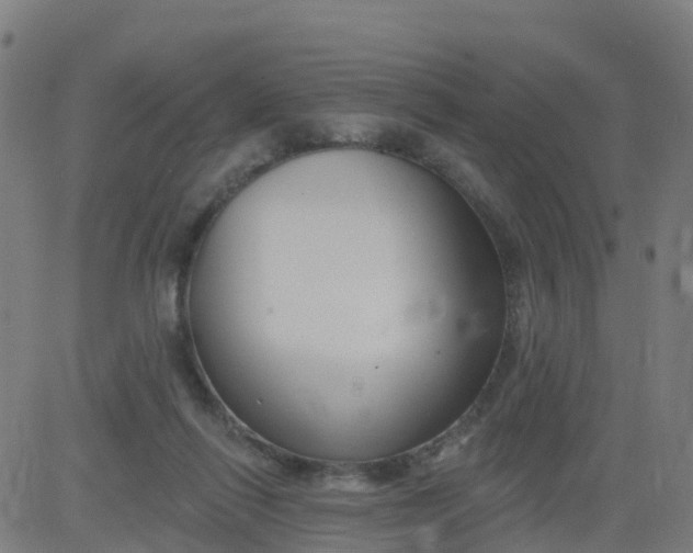 X0000084600262200703091936