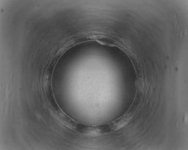 X0000084600263200703091936