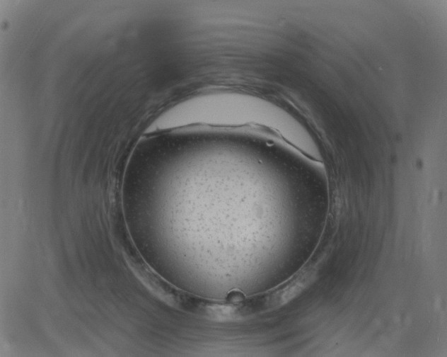 X0000084600265200703091936