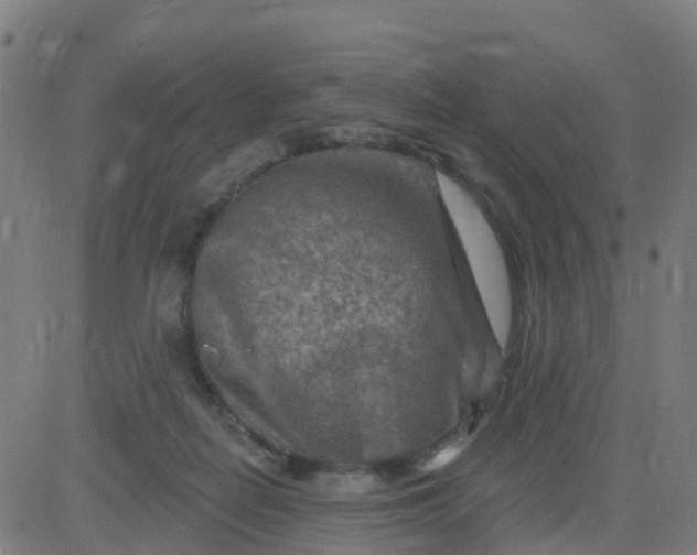 X0000084600266200703091936