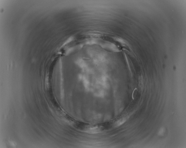 X0000084600267200703091936