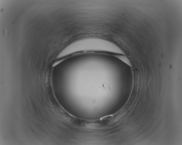 X0000084600268200703091936