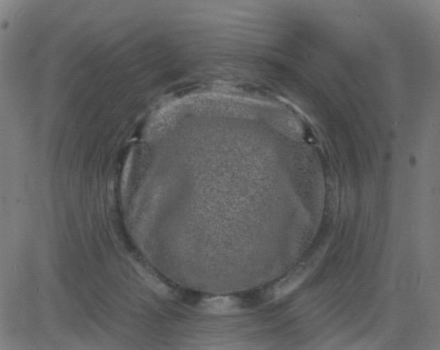 X0000084600269200703091936