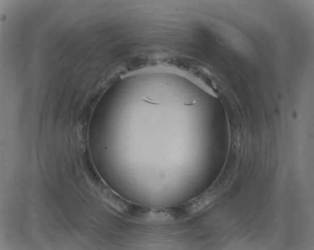 X0000084600270200703091936