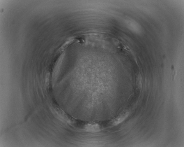 X0000084600271200703091936