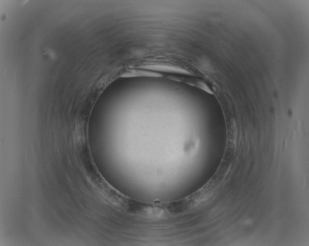 X0000084600272200703091936