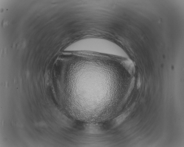 X0000084600273200703091936