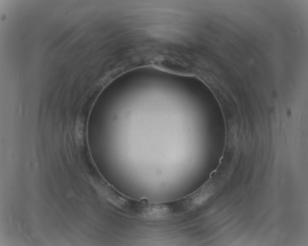 X0000084600274200703091936