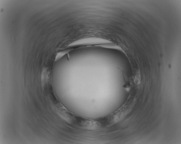 X0000084600276200703091936