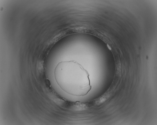 X0000084600278200703091936