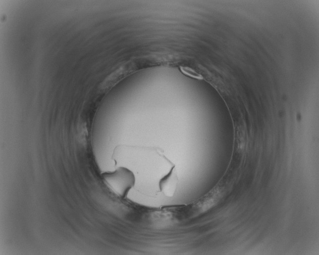 X0000084600279200703091936