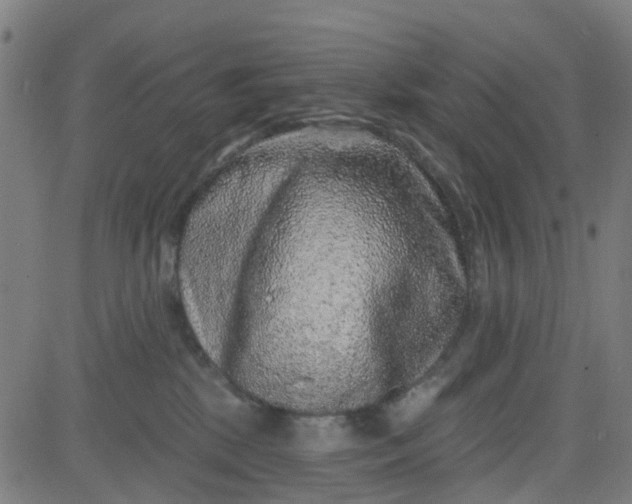 X0000084600281200703091936