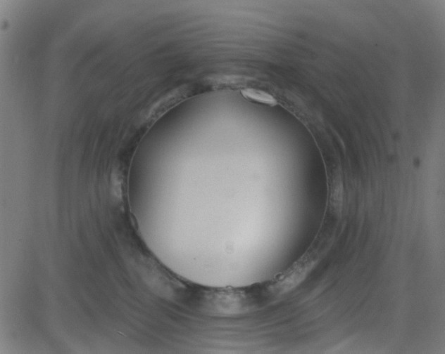 X0000084600282200703091937