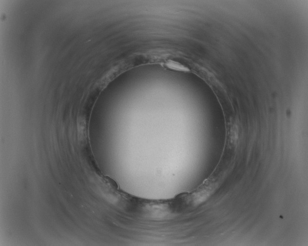 X0000084600283200703091937