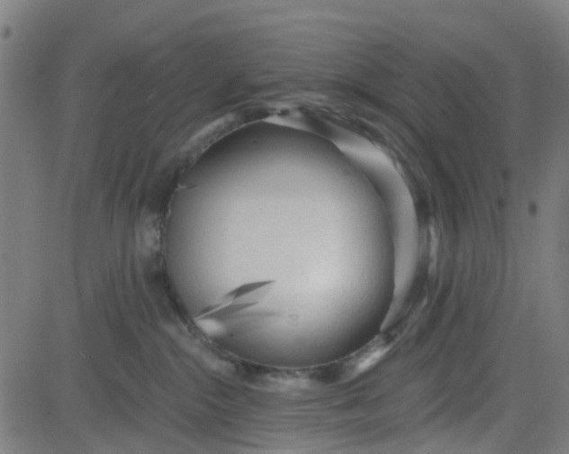 X0000084600284200703091937