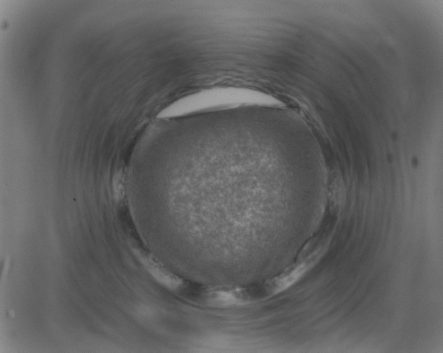 X0000084600285200703091937