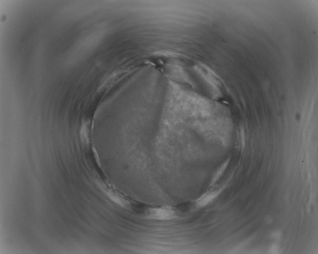 X0000084600286200703091937