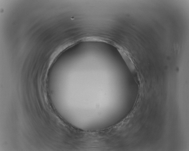 X0000084600289200703091936